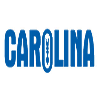 Carolina Coupons, Deals & Promo Codes for 2021