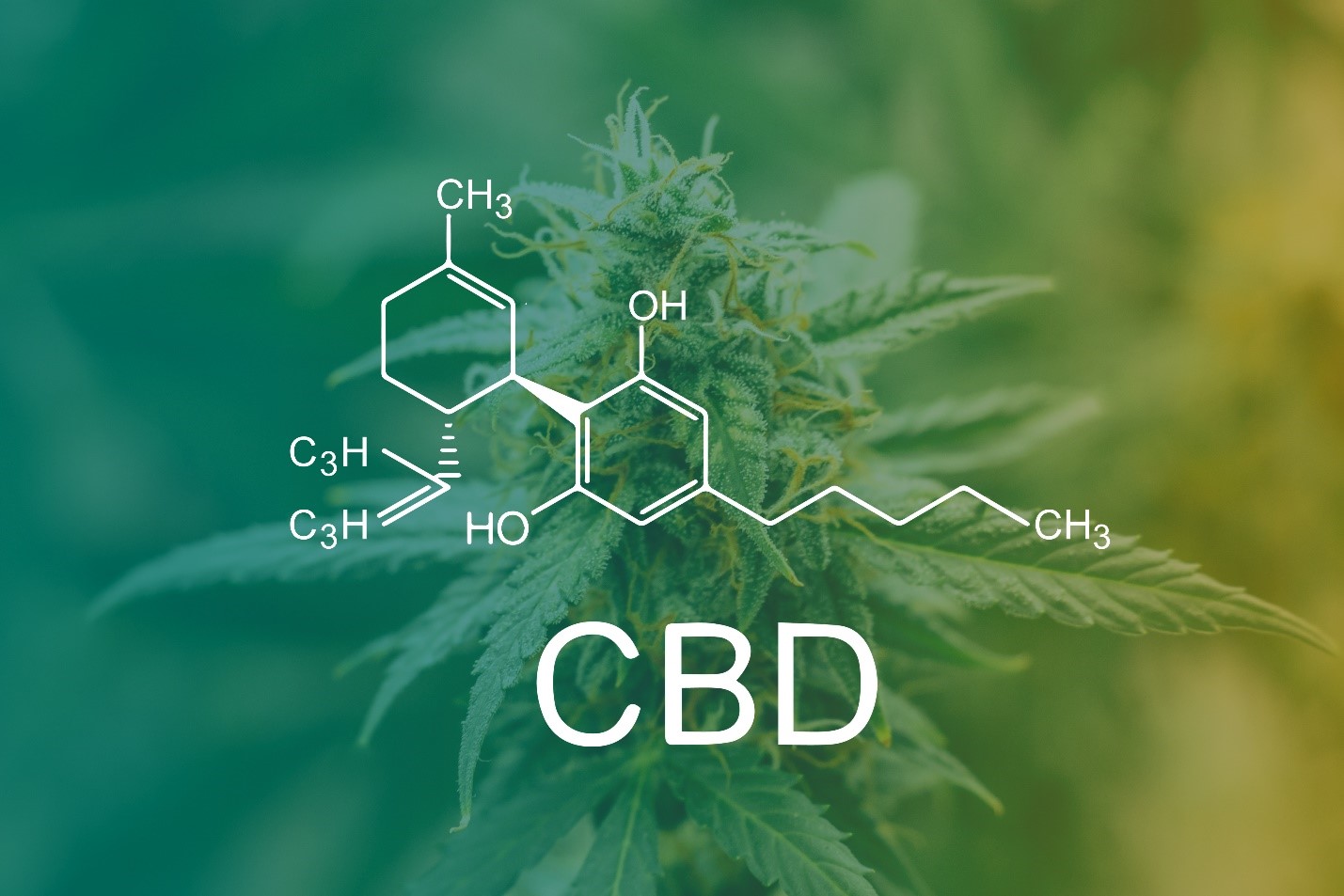 What are the effects of CBD?